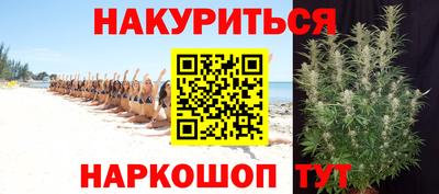 прущие грибы Малгобек