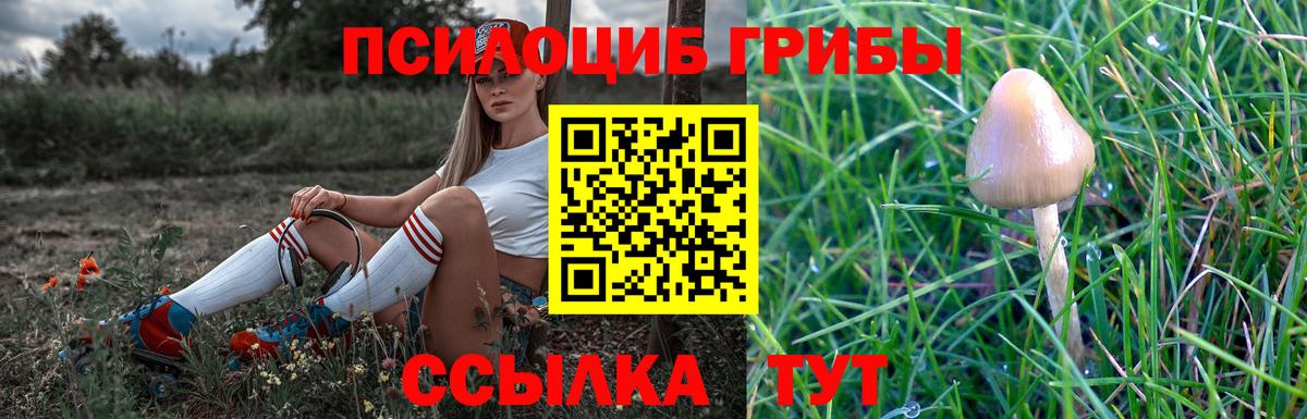 Балахна  Галлюциногенные грибы GOLDEN TEACHER  Вход с VPN 