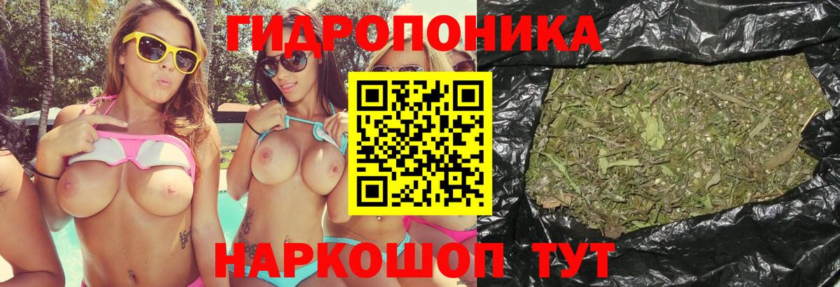 Бошки Шишки ГИДРОПОН Балахна